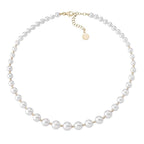 Collar Lyra 6 - 10 mm